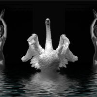 SWAN LIKE DREAM by Stanley J Annable