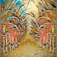 SWEETCORN by Alan Locke