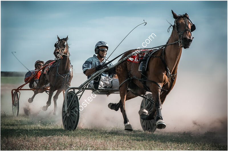 TAKE THE LEAD by Chris Greaves