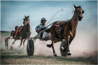 TAKE THE LEAD by Chris Greaves