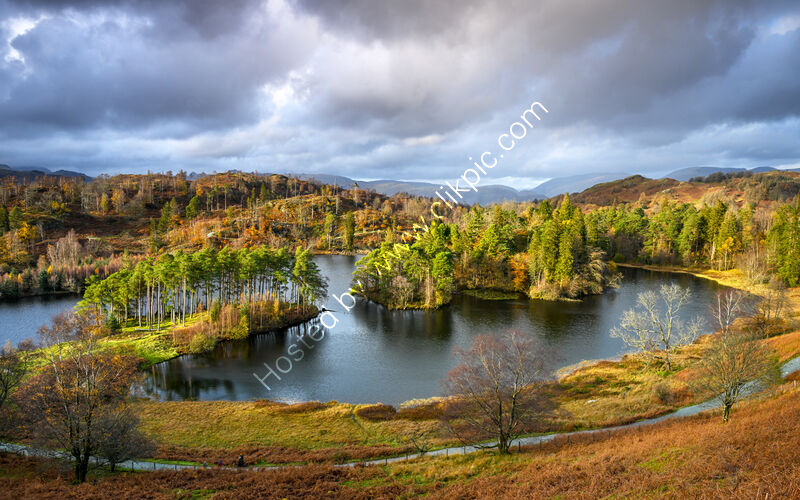 TARN HOWS by Mark Constable