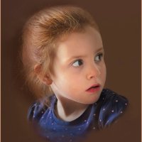 THERE CAME A BIG SPIDER by Sue Swain