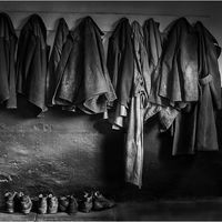 THEY NEVER CAME BACK by Sue Swain