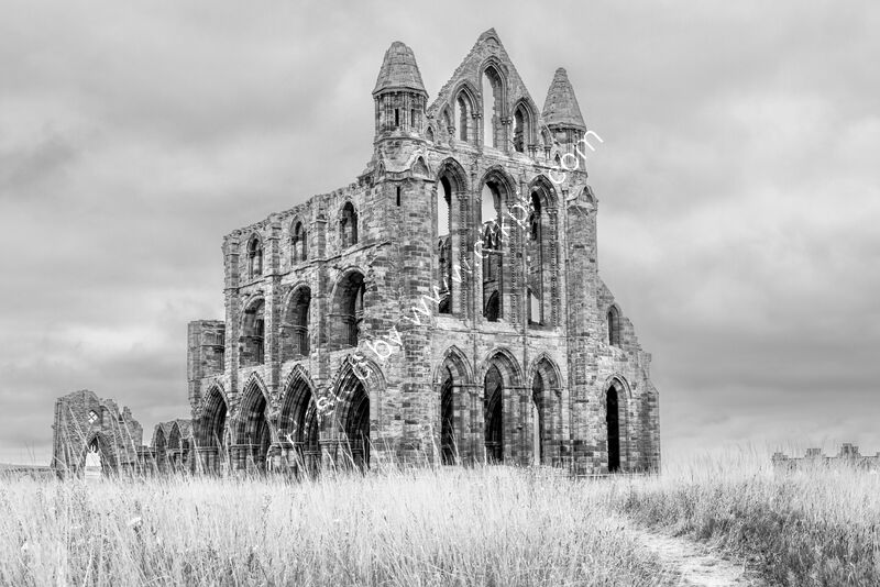 THE ABBEY by Christine Maughan