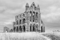 THE ABBEY by Christine Maughan