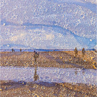 THE BEACH A DOUBLE TAKE