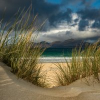THE BEACH BEYOND by Mark Constable