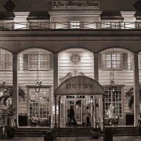 THE BETSY ROSS by Nigel Seale