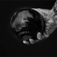 THE BOWLER'S REFLECTION by David White
