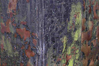 THE COLOURS OF RUST by David Salt