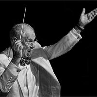 THE CONDUCTOR by David White