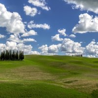THE CYPRESS COPSE by Ashley Franklin