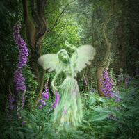 THE FAIRY GLADE by Gillian Foulds