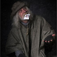THE FISHERMANS FRIEND by Stanley j Annable