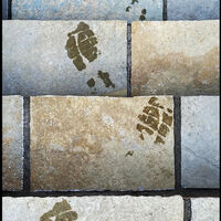 THE GARDEN STEPS by David Harrison