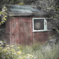 THE HERMIT ON THE LOOK OUT by Gillian Foulds
