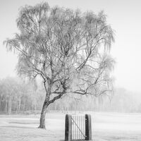 THE LOCKED GATE by Neil Partridge