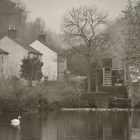 THE MILL POND by Paul O'Flanagan