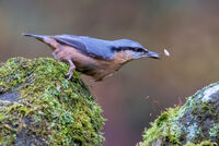 THE ONE THAT GOT AWAY by Mike Arblaster