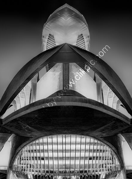 THE OPERA HOUSE, VALENCIA ARTS & SCIENCE by Ashley Franklin