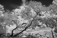 THE OUTLOOK Ashley Franklin