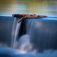 THE RECUMBENT LOG by Ashley Franklin