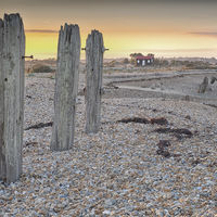 THE RED ROOFED HUT AT RYE by Peter Ward