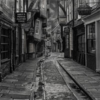 THE SHAMBLES by David Goodman