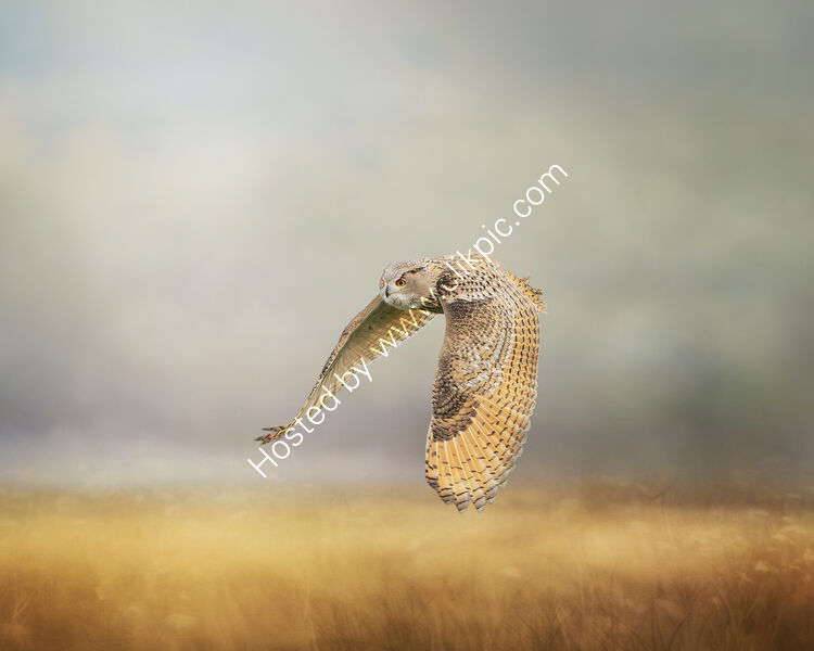 THE SILENT HUNTER by Michelle Jackson