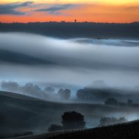 THE SWIRLING MIST by Ashley Franklin