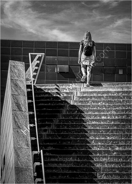 THE TOP STEP by David Harrison