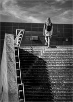 THE TOP STEP by David Harrison