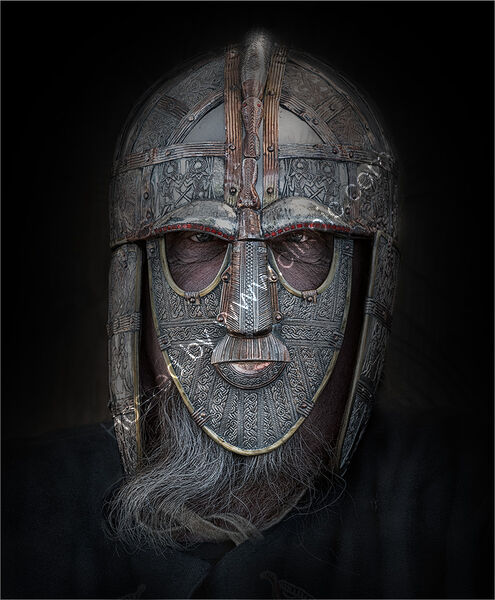 THE VIKING YARL by Gavin Duxbury