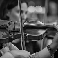 THE VIOLINIST by Ashley Franklin