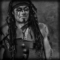 THE WARRIOR by David Goodman