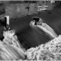 THE WEIR by Derrick Tuplin