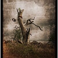THE WITCHING TREE by Alan Locke