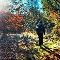 THE WONDER OF AUTUMN by Alan Locke