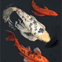 THREE KOI by Sue Swain