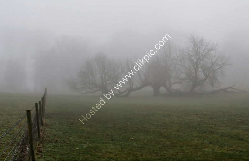 THROUGH THE MIST by Malcolm Sargent