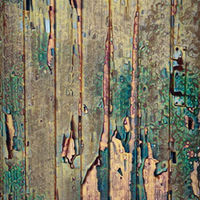 TIRED PEELING PAINT by Alan Locke