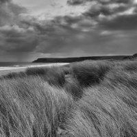 TO THE BEACH by Mark Constable