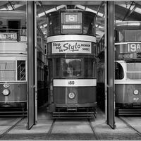 TRAMTRIO by Kevin Marples