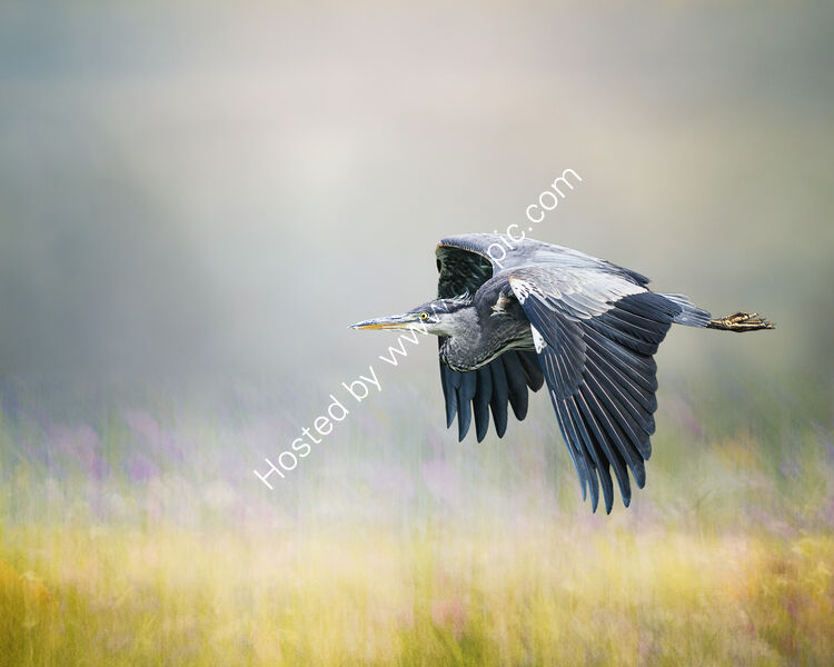 TRANQUILITY by Michelle Jackson