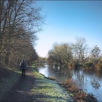 TRENT & MERSEY CANAL FINDERN by Alan Locke