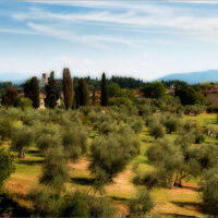 TUSCAN PANORAMA by Graham Duro