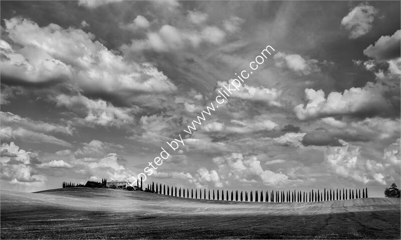 UNDER TUSCAN SKIES by Neil Partridge