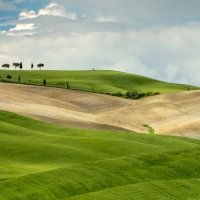 UNDULATING TERRAIN - VAL D'ORCIA by Mike Arblaster