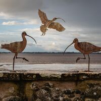 UP, UP AND AWAY by Mike Arblaster
