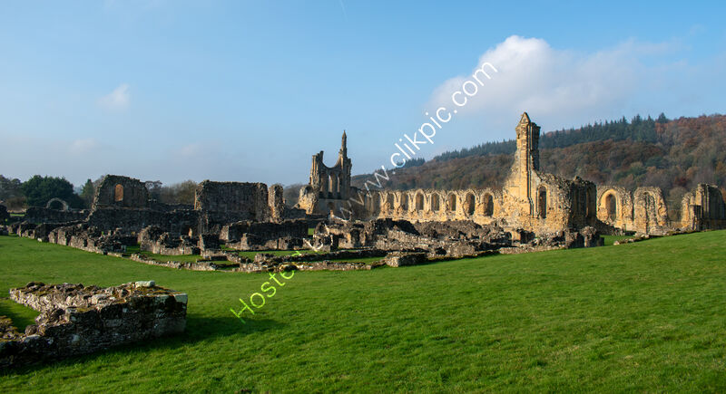 URBAN DECAY - THE REFORMATION by Chris Nightingale